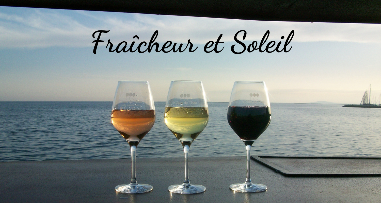 cotedeThau Winery